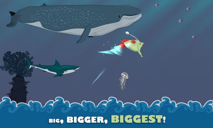 Big, bigger biggest!