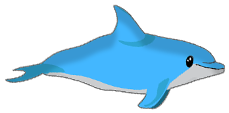 Dolphin